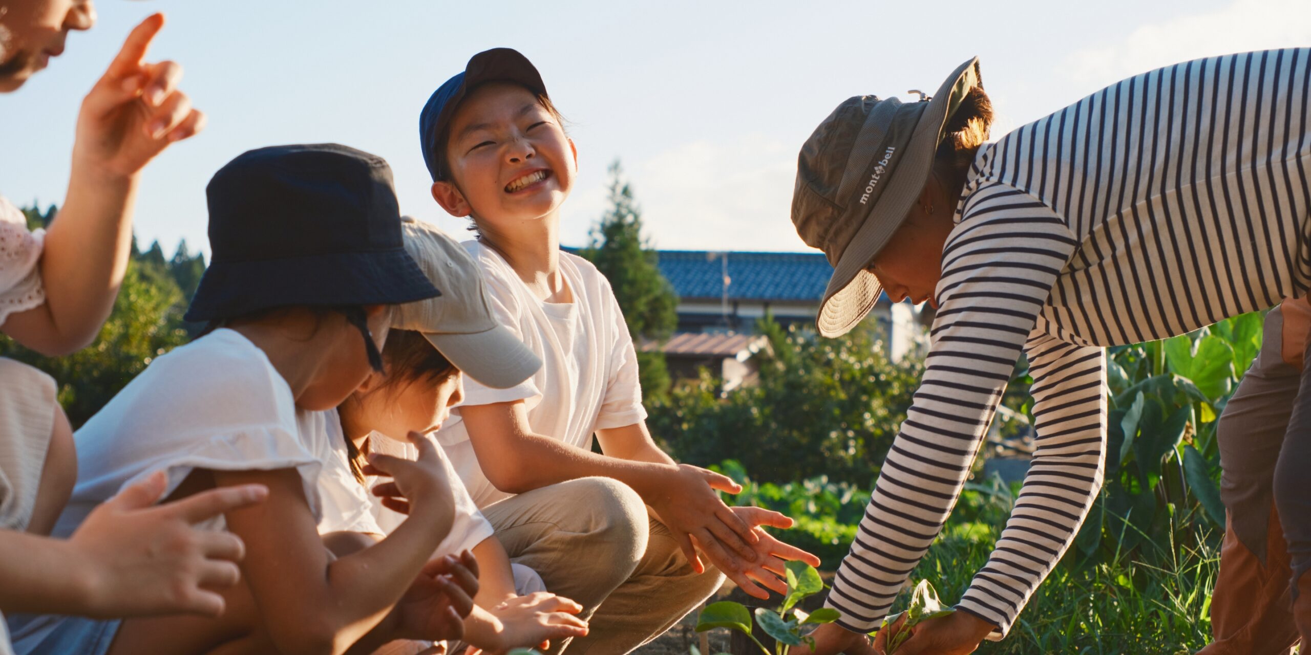 農業体験農園の様子