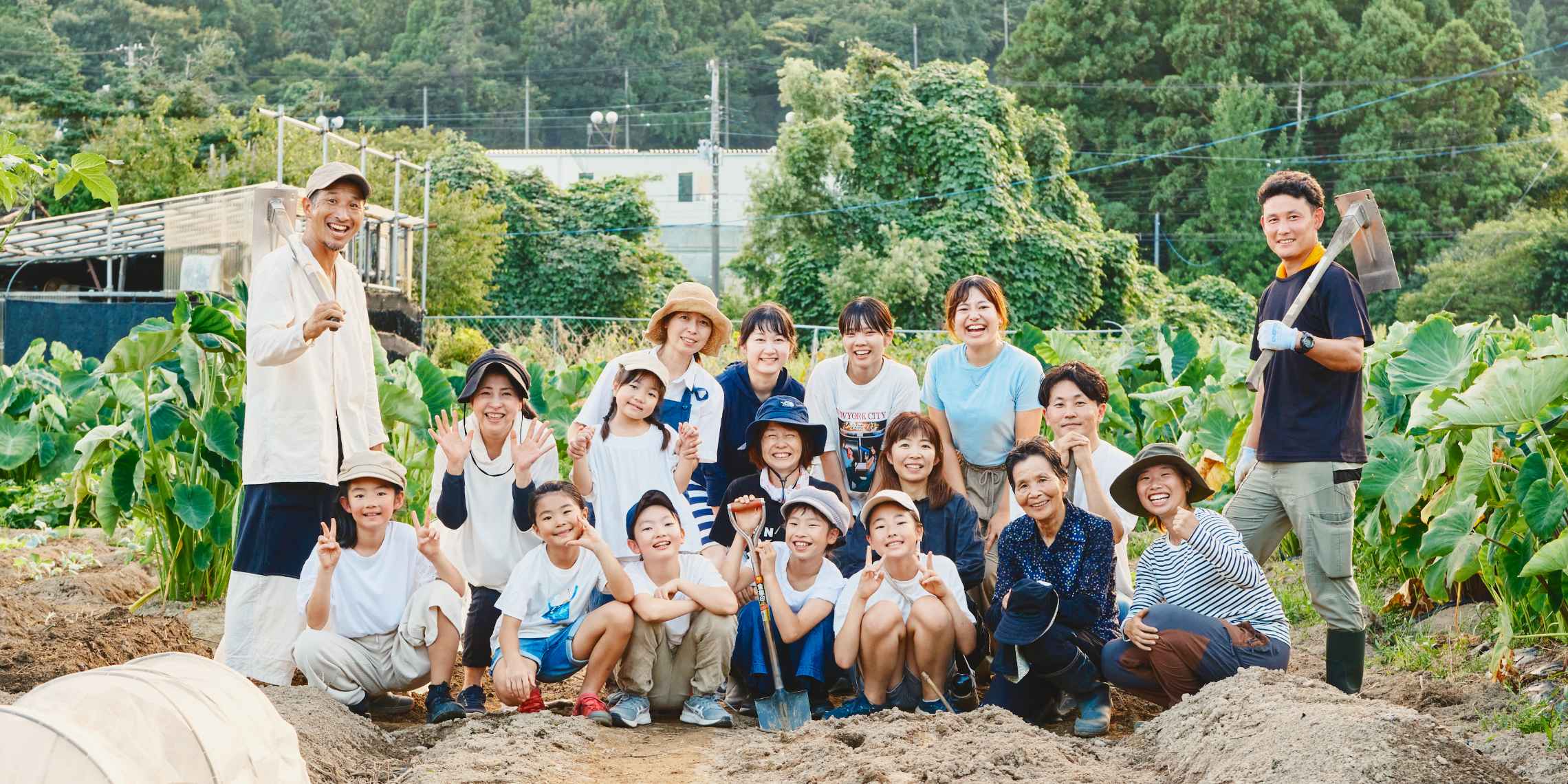 農業体験農園の様子