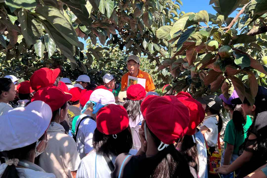 畑のがっこう事業