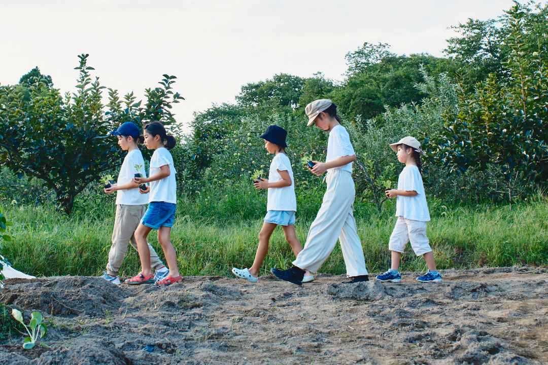 農業体験農園の様子