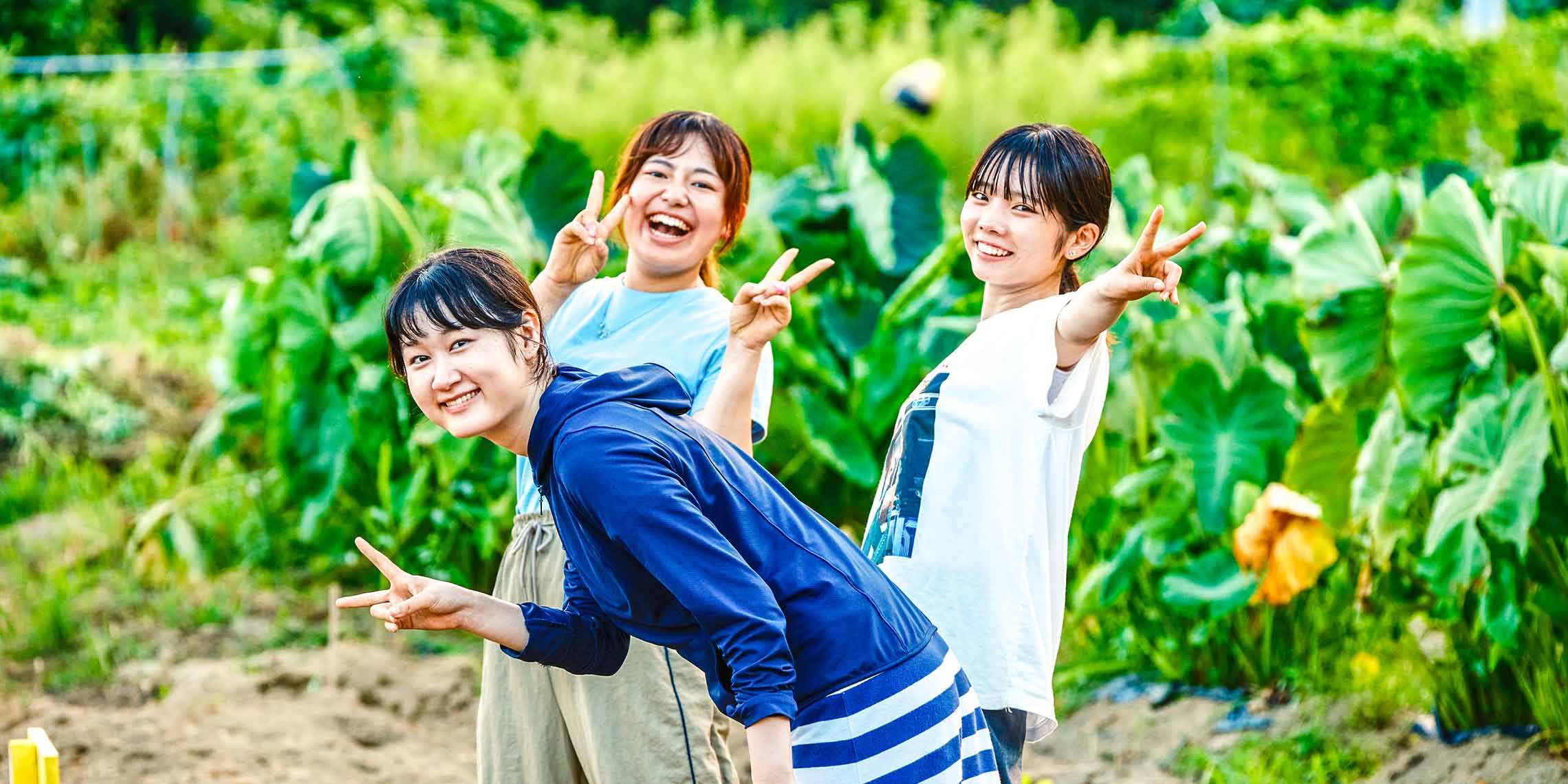 農業実習の様子