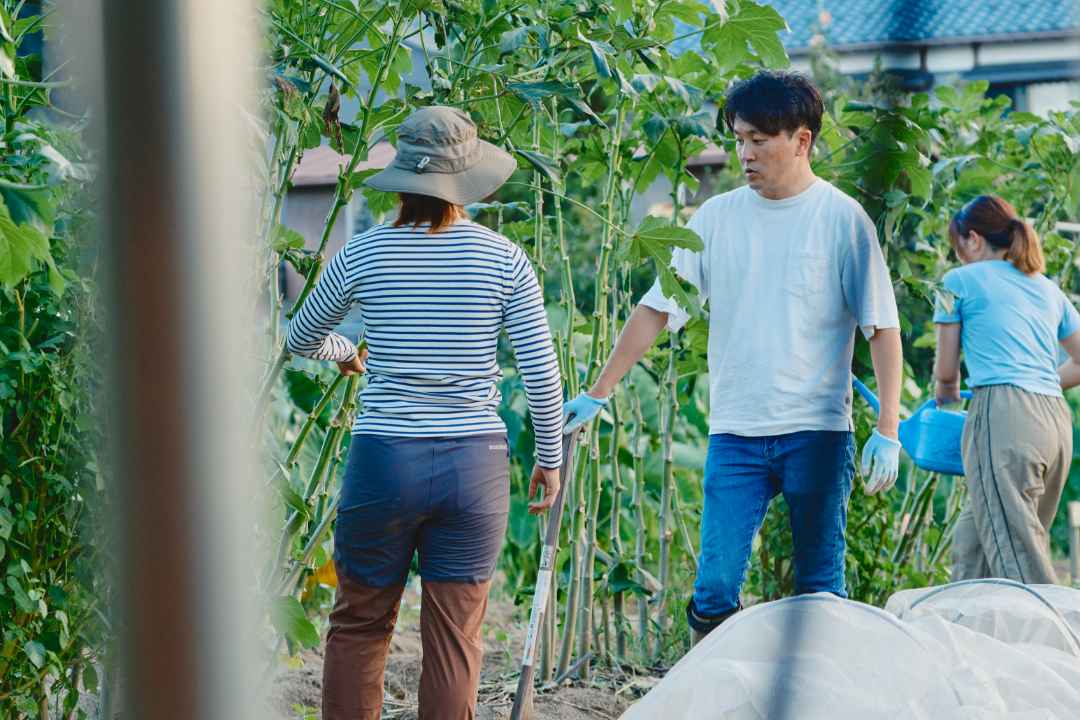 農業体験農園の様子