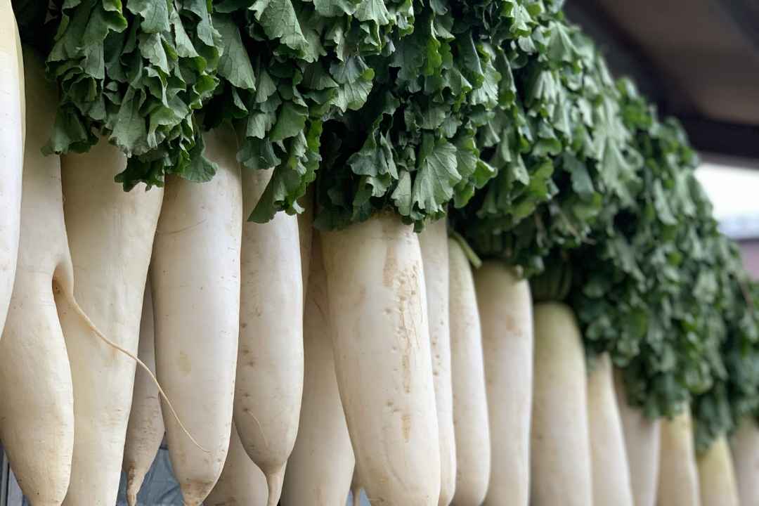 大根
