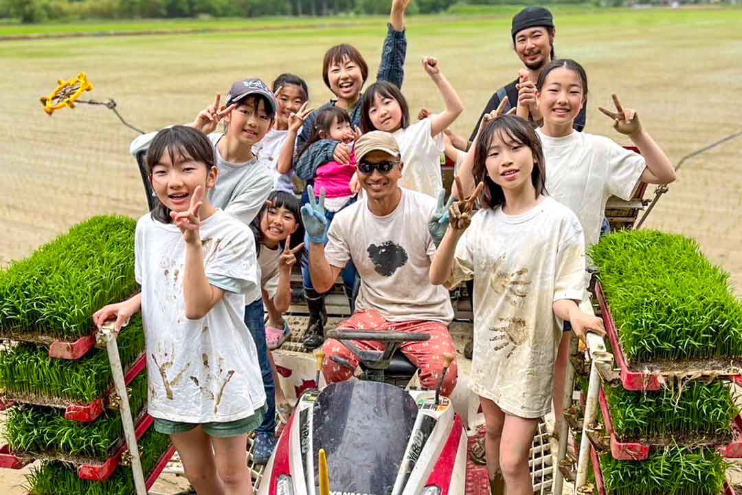 田植え会の様子