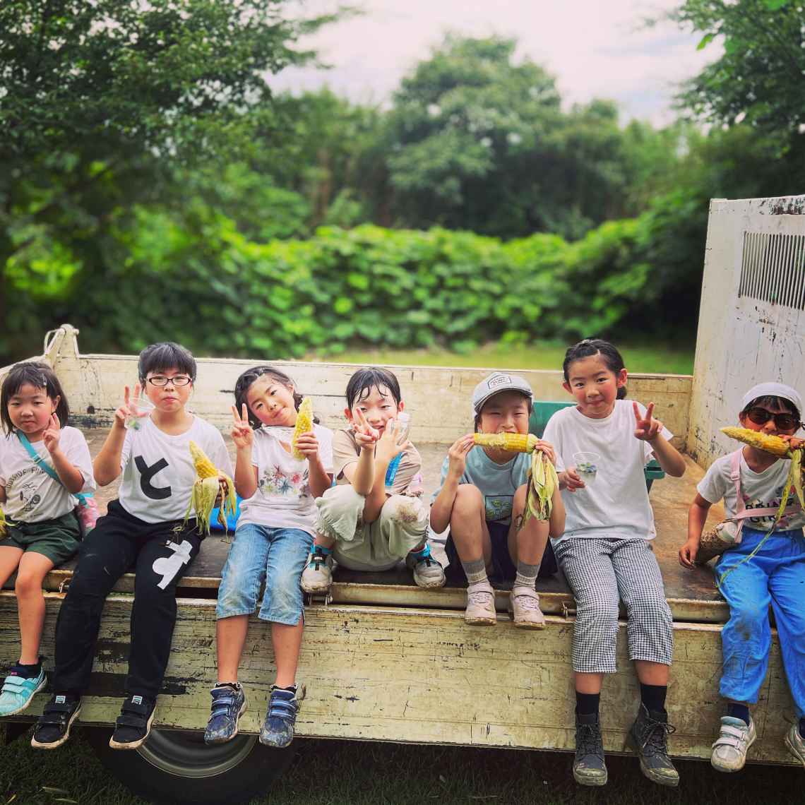 農業体験農園の様子