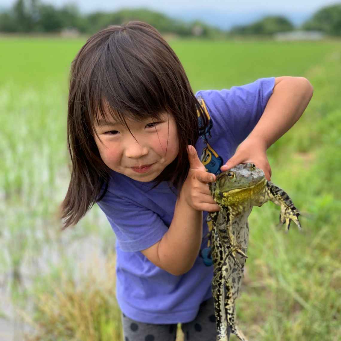農業体験農園の様子