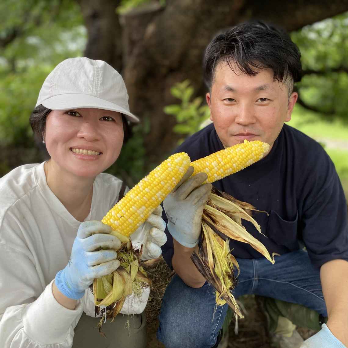 農業体験農園の様子