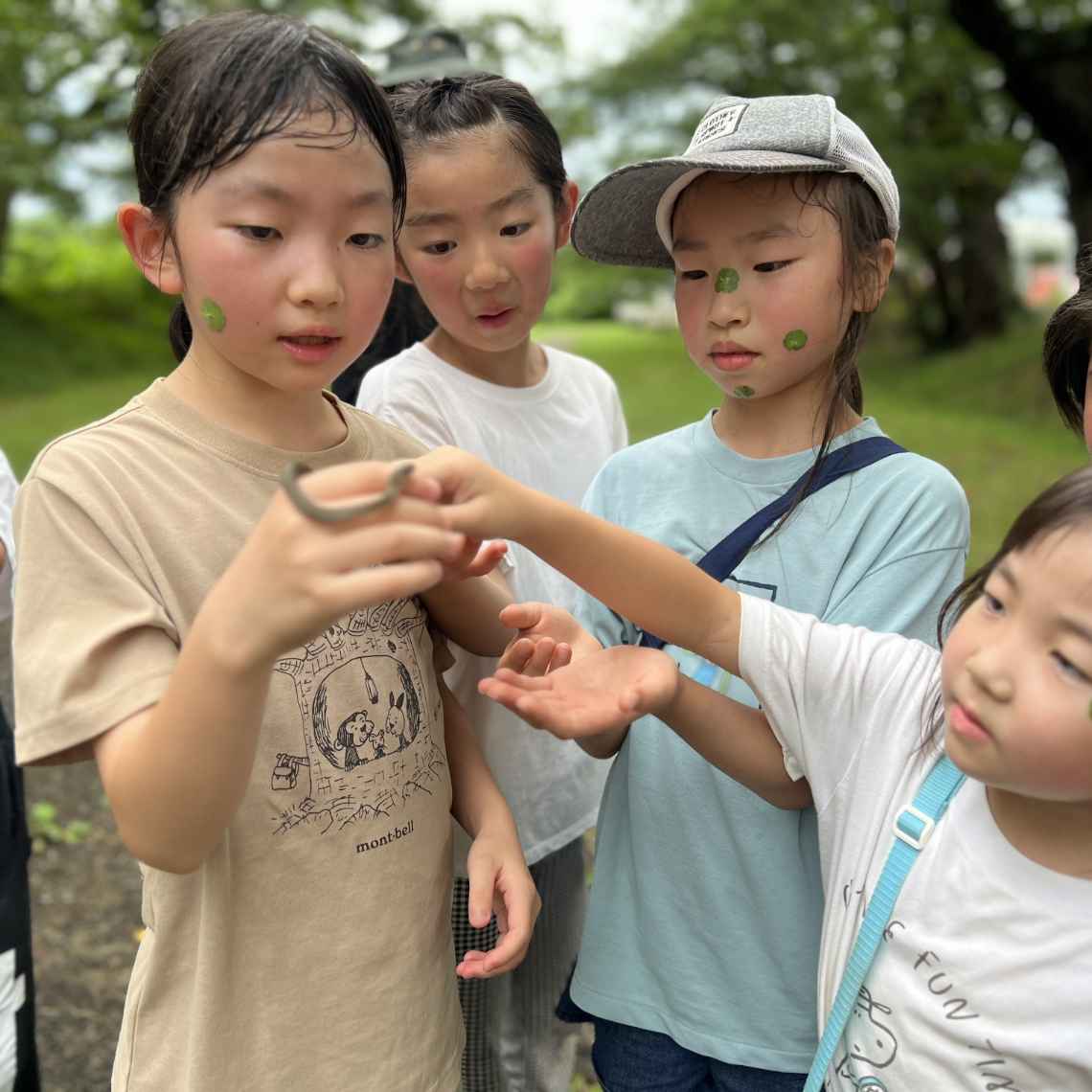 農業体験農園の様子