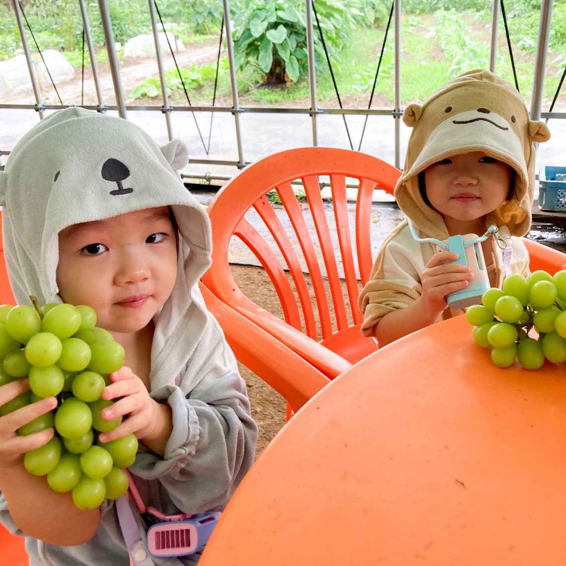 農業体験農園の様子