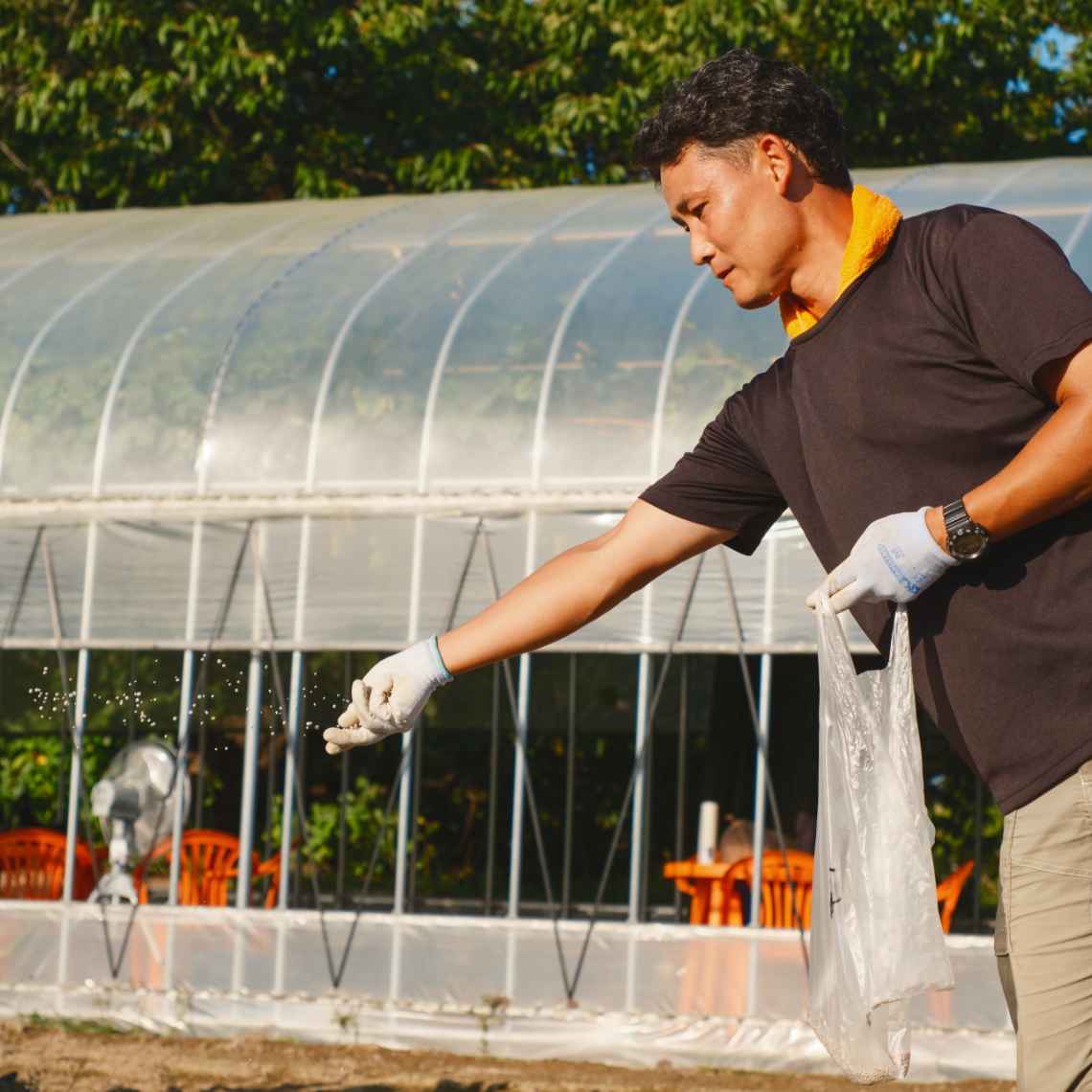 農業体験農園の様子