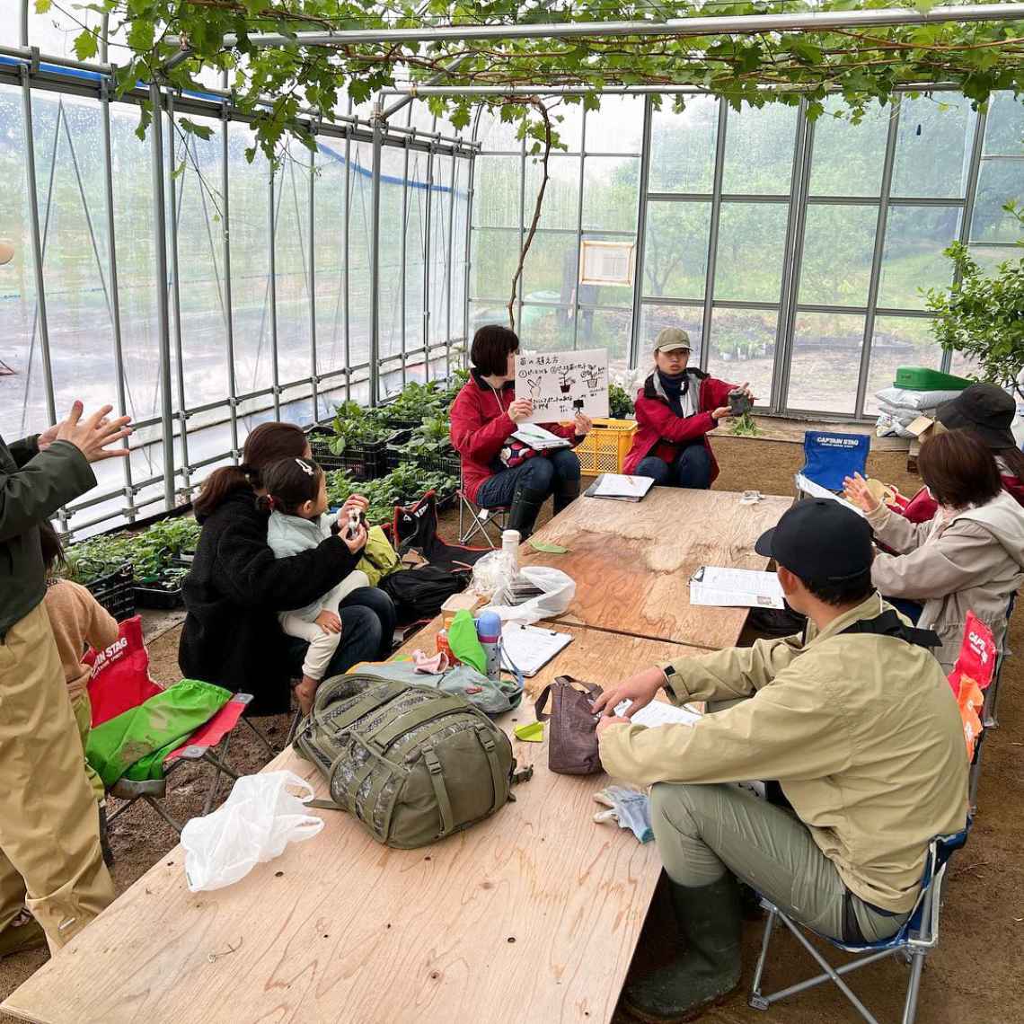 農業体験農園の様子