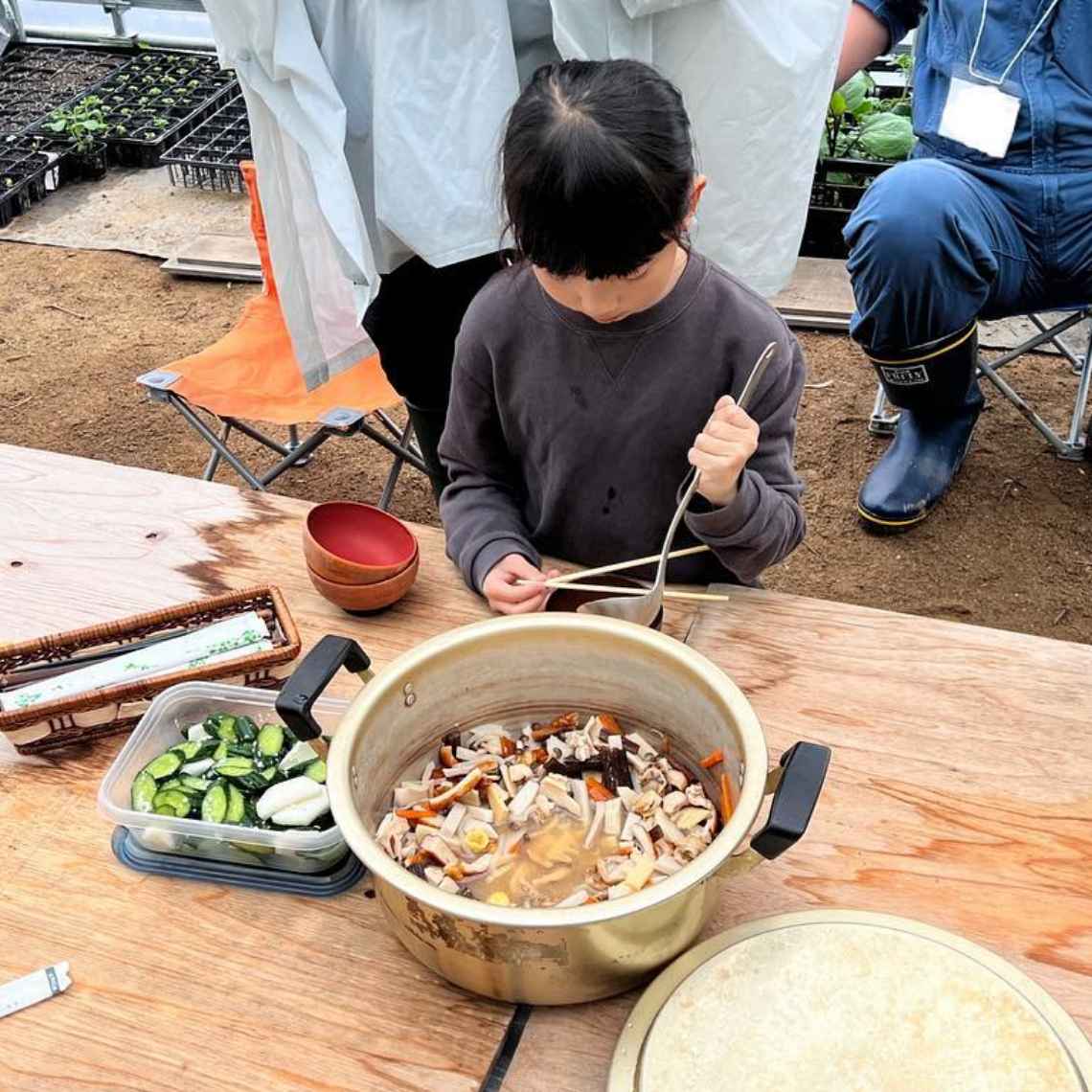 農業体験農園の様子