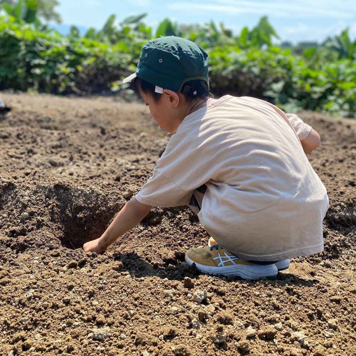 農業体験農園の様子