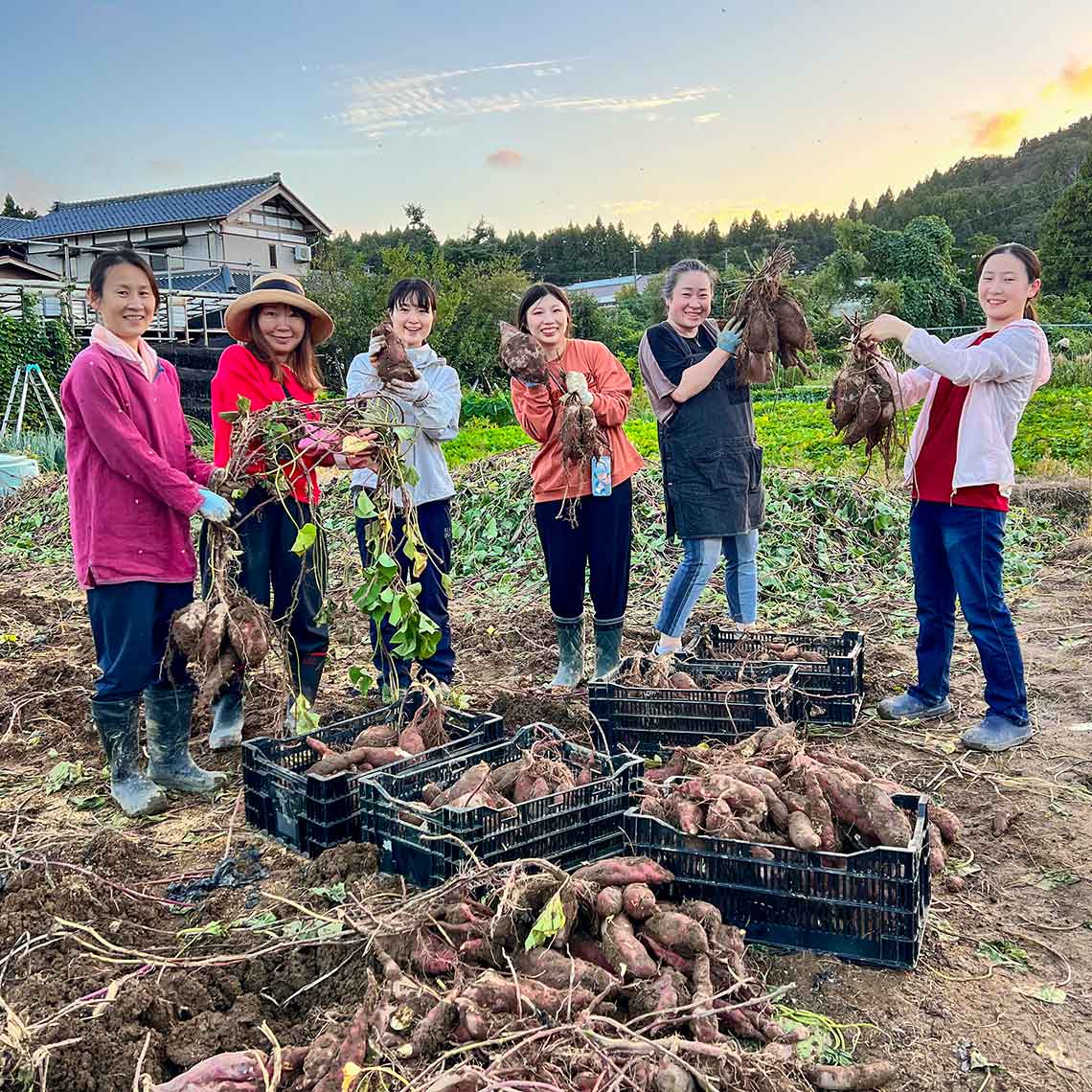 農業体験農園の様子